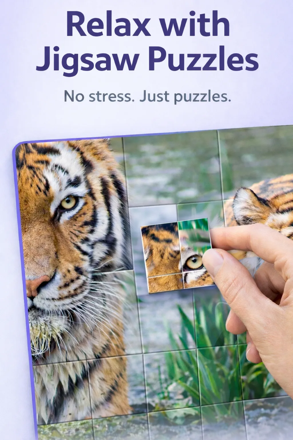 Jigsaw Puzzle: a tiger picture being assembled
